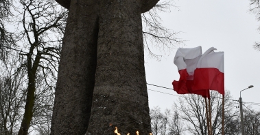 DSC_4226_wynik (1).jpg